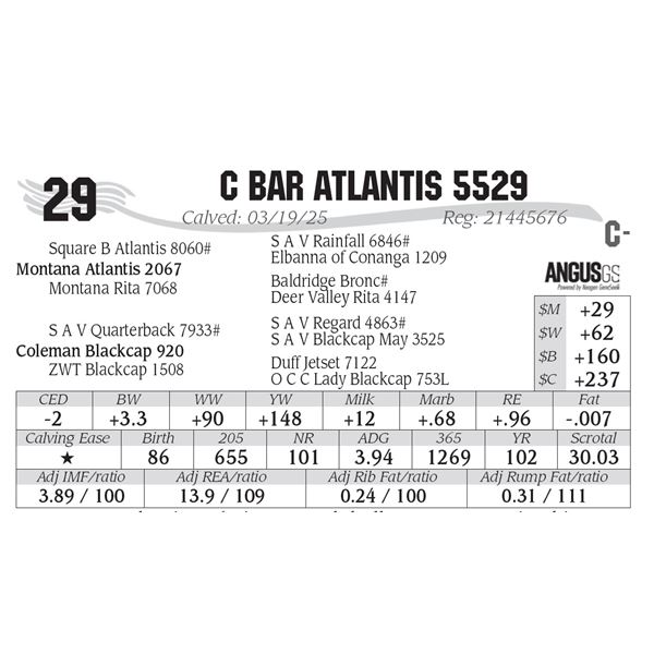 C Bar Atlantis 5529