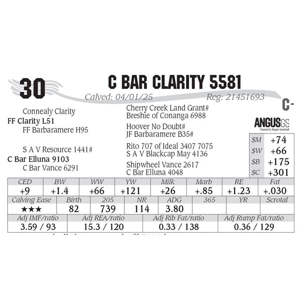 C Bar Clarity 5581