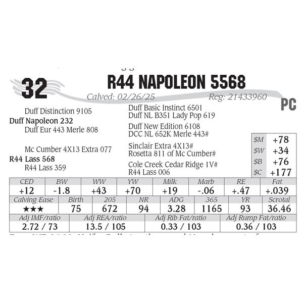 R44 Napoleon 5568