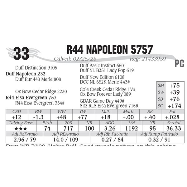 R44 Napoleon 5757