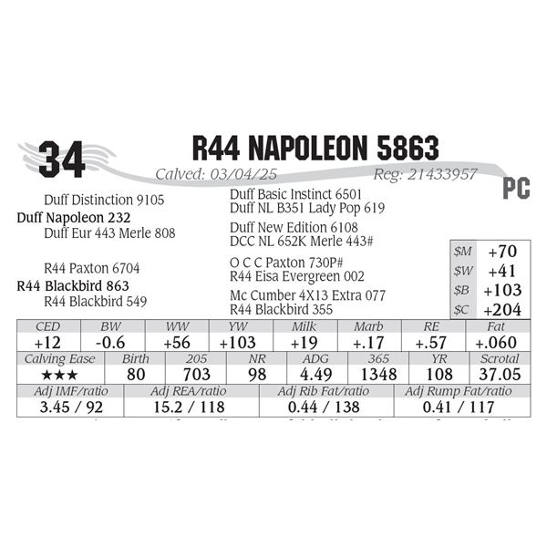 R44 Napoleon 5863
