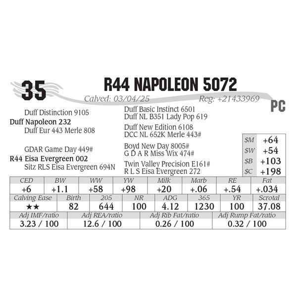 R44 Napoleon 5072