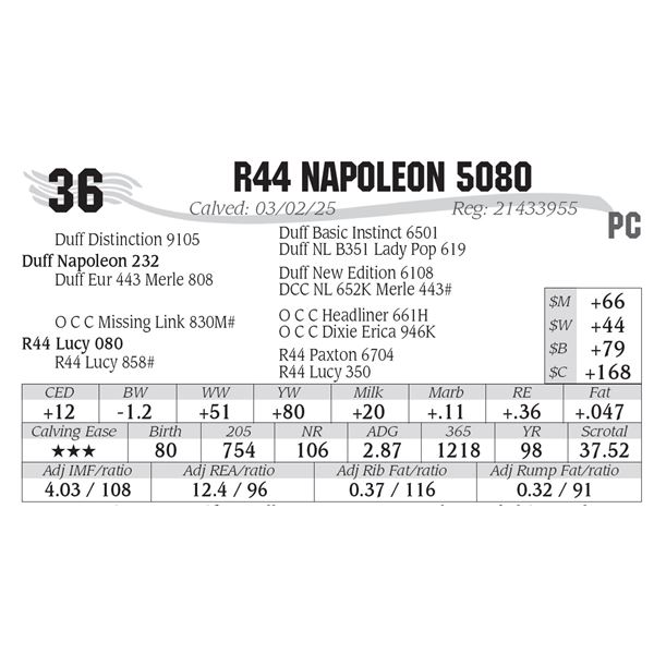 R44 Napoleon 5080