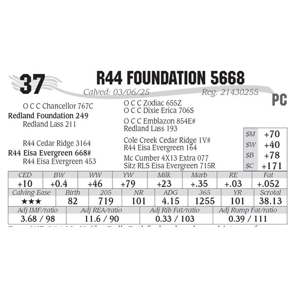 R44 Foundation 5668