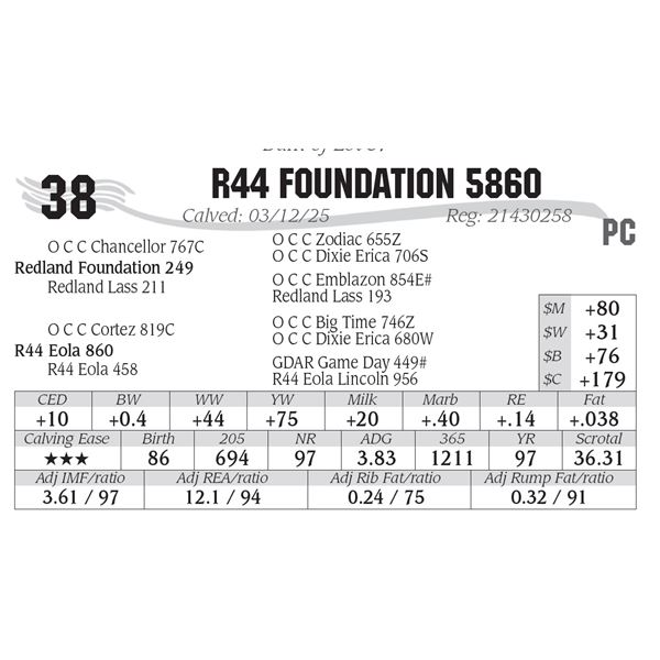 R44 Foundation 5860