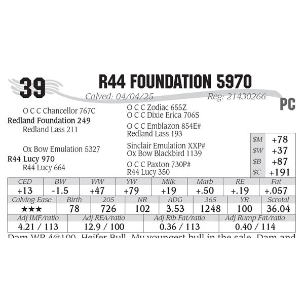 R44 Foundation 5970