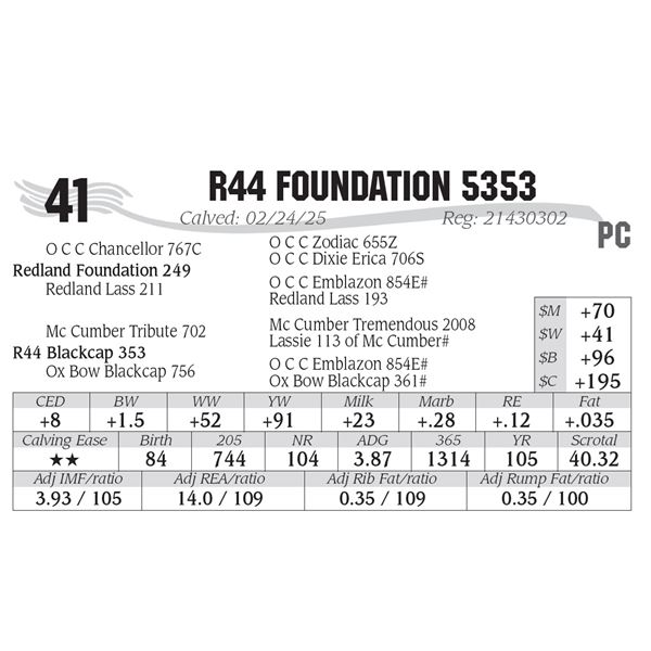 R44 Foundation 5353