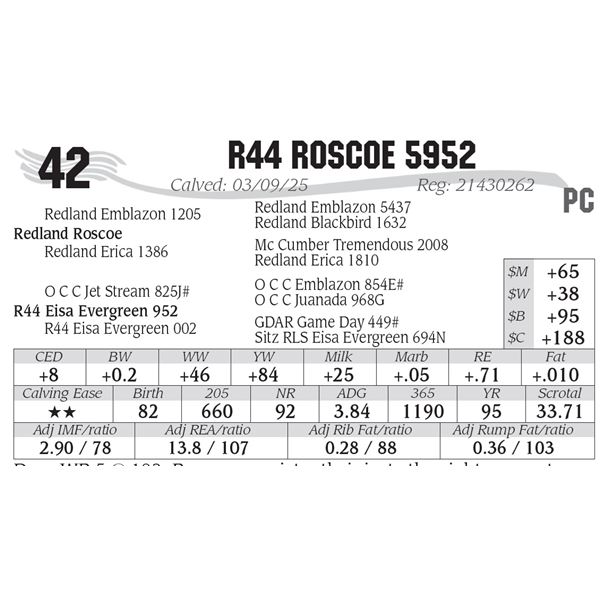 R44 Roscoe 5952