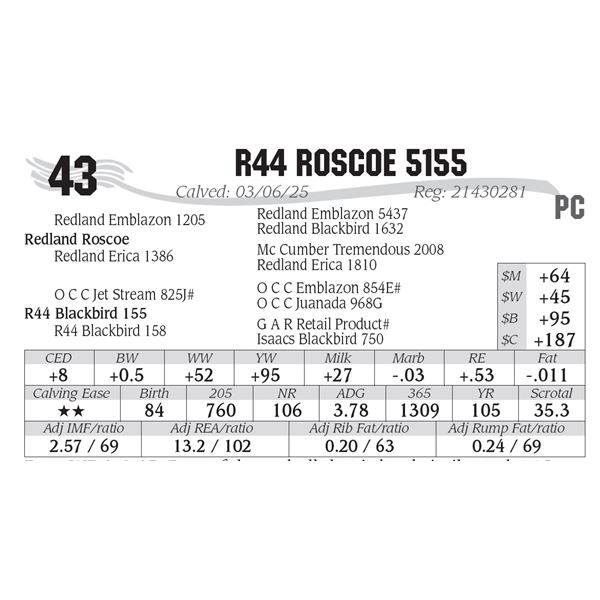 R44 Roscoe 5155