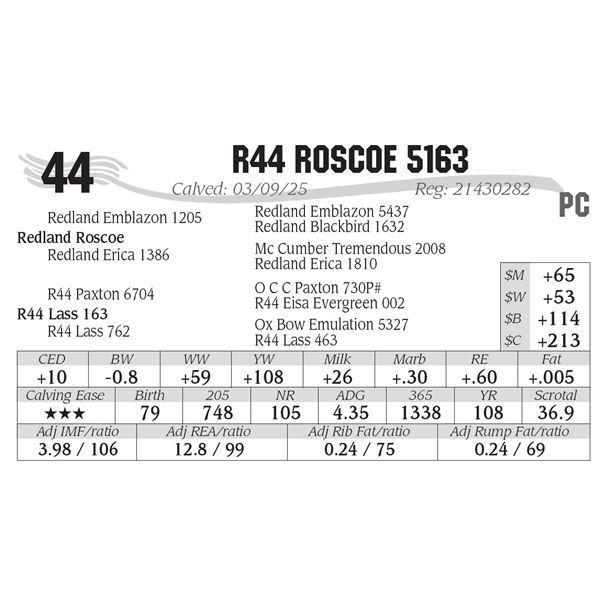 R44 Roscoe 5163