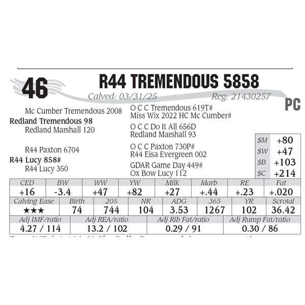 R44 Tremendous 5858