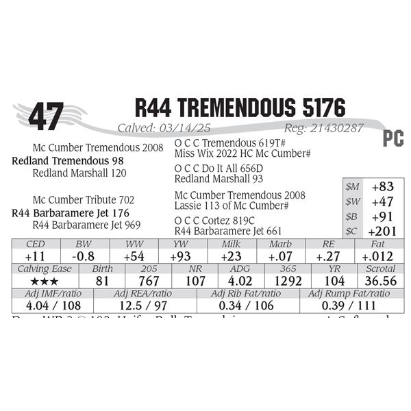 R44 Tremendous 5176