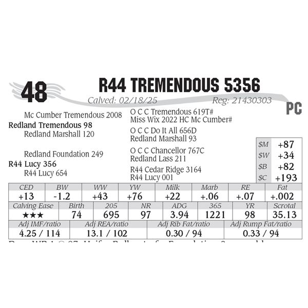 R44 Tremendous 5356
