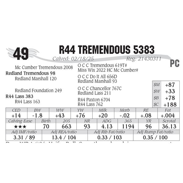 R44 Tremendous 5383