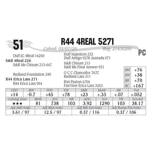 R44 4Real 5271
