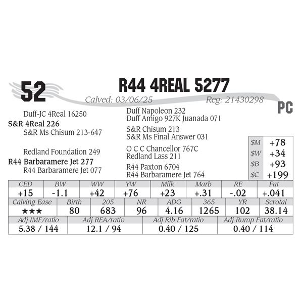 R44 4Real 5277