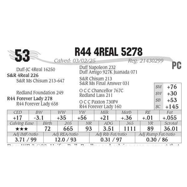 R44 4Real 5278
