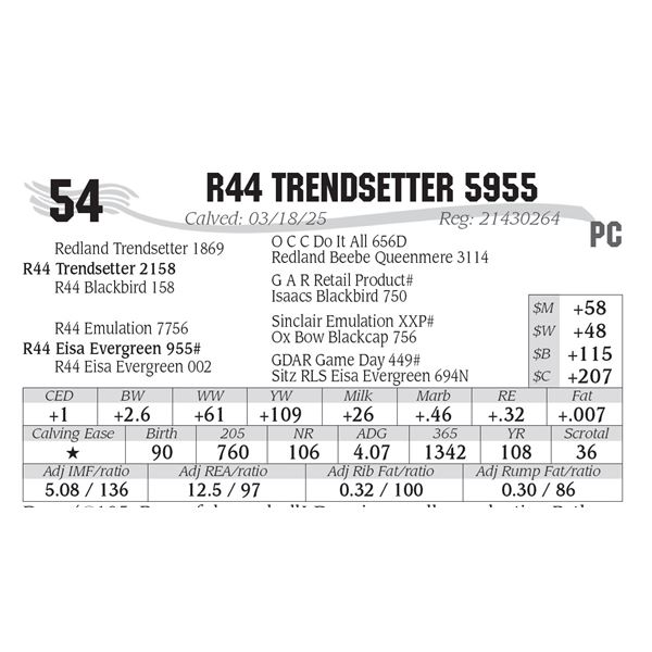 R44 Trendsetter 5955