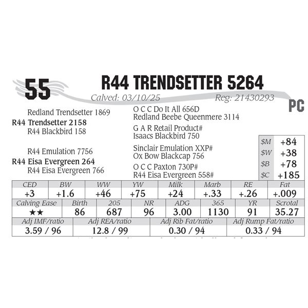 R44 Trendsetter 5264