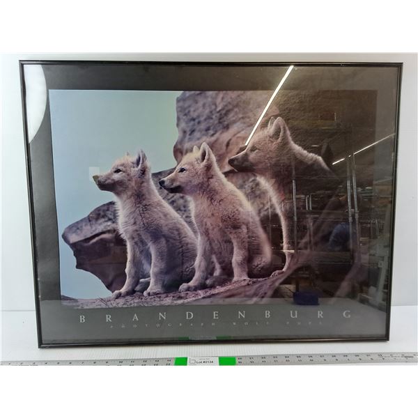 Brandenburg Framed Wolf Pups Photo
