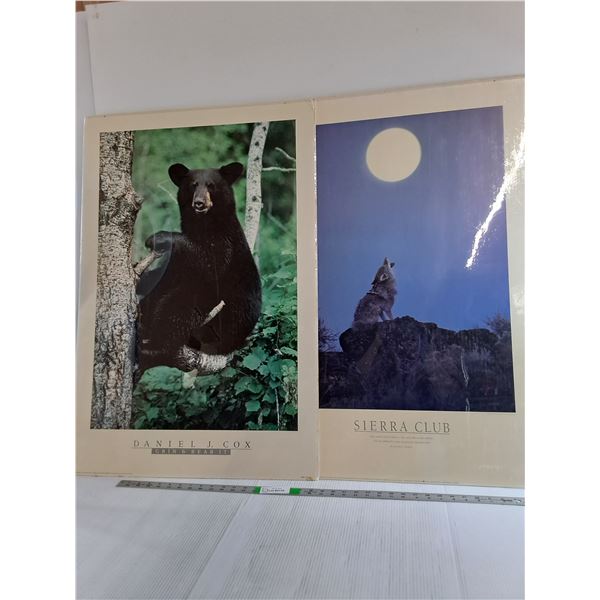 (2) Nature Photos- Wolf & Bear