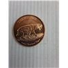 Image 2 : US Copper "Ice Age" Coin Token - Cannot Guarantee Authenticity
