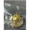 Image 8 : RCMP Pins
