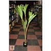 Image 1 : NEW OAK RED 5.5FT ARTIFICIAL DRACAENA TREE W/POT