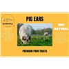 Image 1 : NEW 100 PACK PIG EARS ALL NATURAL SHINY COAT TREAT