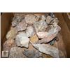 Image 1 : LARGE BOX OF FOSSILS AND MORE