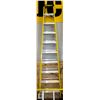 Image 1 : BRAND NEW FEATHERLITE LADDER 10FT