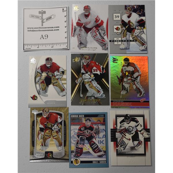 Dominik Hasek Lot