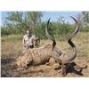 Image 1 : African Safari Hunting Trip for 6 - AFRICA