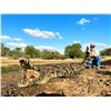 Image 3 : African Safari Hunting Trip for 6 - AFRICA