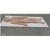 Image 3 : Hard to come by medical anatomy diagram 34"x13"