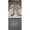 Image 4 : Hard to come by medical anatomy diagram 34"x13"