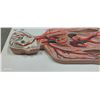 Image 3 : Hard to come by medical anatomy diagram 34"x13"
