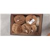 Image 1 : 14 antique cork ocean net floats, all dry & clean approx 5" diameter