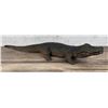 Image 1 : Large Cast Iron Garden Alligator