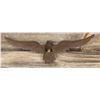 Image 2 : Cast Iron Decorative Wall Eagle