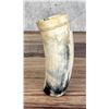 Image 3 : Western Frontier Steer Horn Cup