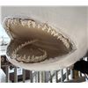Image 18 : Taxidermy Hammerhead Shark Mount