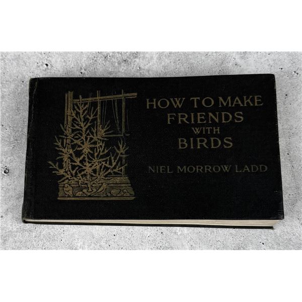 How to Make Friends with Birds