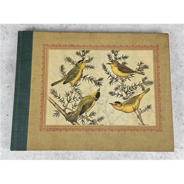 Rex Brasher's Treasury of Bird Paintings
