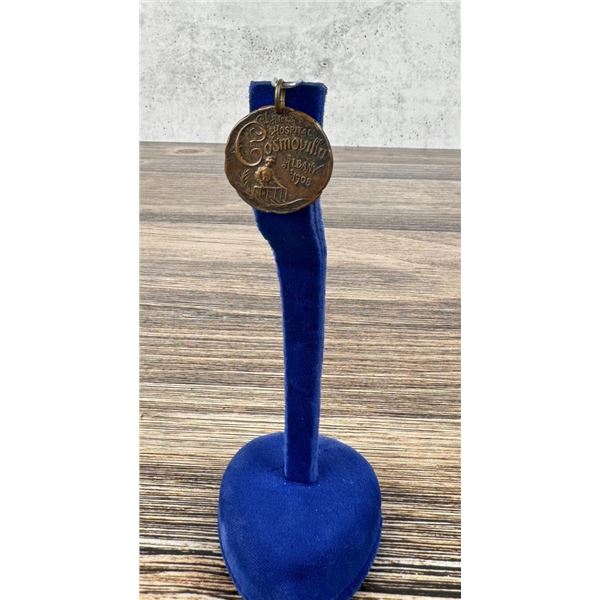 Peter's Hospital Cosmovilla Albany New York 1908