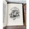 Image 8 : Picturesque Europe Delineation by Pen and Pencil