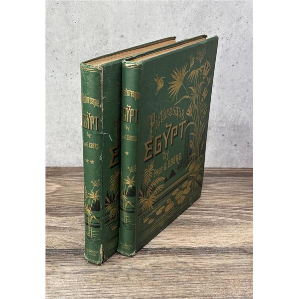 Egypt Descriptive Historical and Picturesque