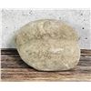 Image 2 : Ancient Native American Indian Stone Hammer Head