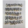 Image 1 : Lot of 50 Fossilized Buffalo Teeth
