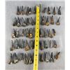 Image 3 : Lot of 50 Fossilized Buffalo Teeth